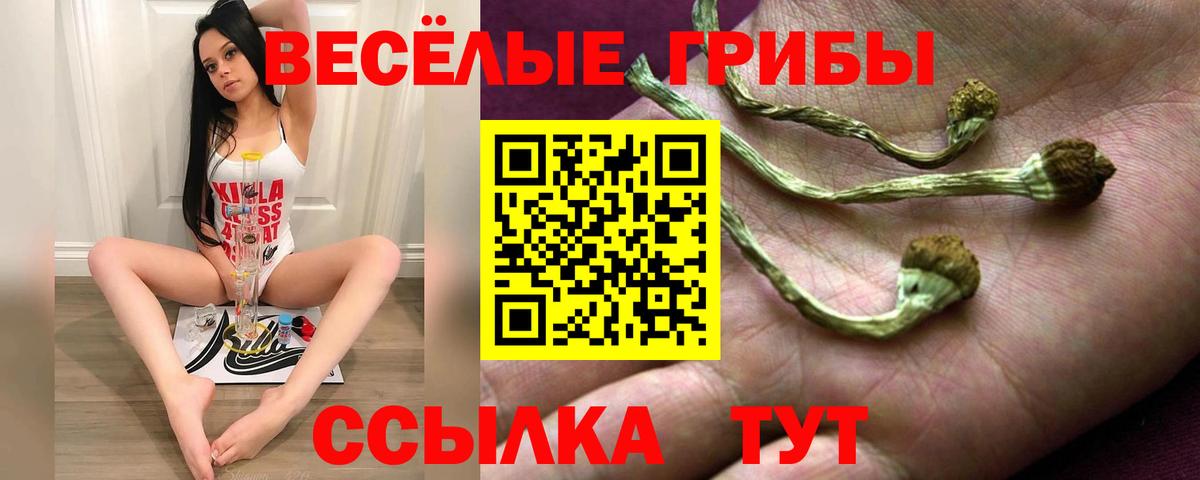 Анжеро-Судженск  Псилоцибиновые грибы Cubensis  Вход с VPN  наркотики  Галлюциногенные грибы мухоморы 